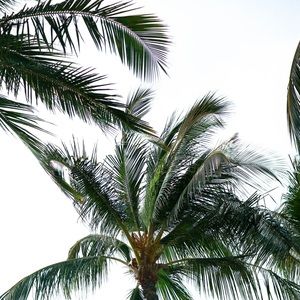 Meet your Posher, Kiana